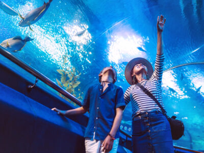 Son with his Mother watching underwater sea inhabitants in huge aquarium tunnel, showing an interesting to each other