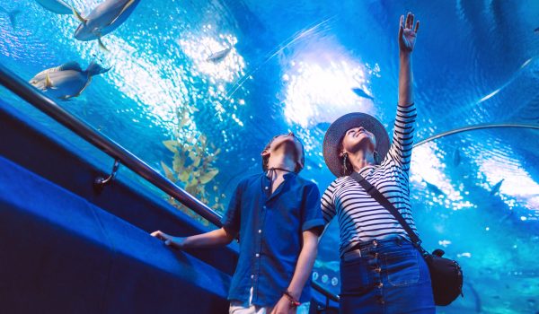 Son with his Mother watching underwater sea inhabitants in huge aquarium tunnel, showing an interesting to each other